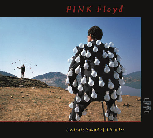 Pink Floyd: Delicate Sound Of Thunder (Live)