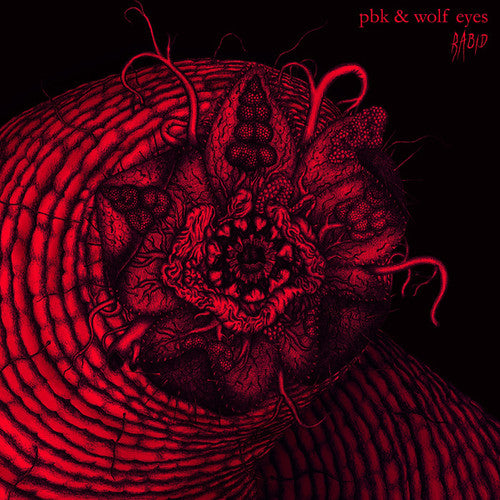 PBK & Wolf Eyes: Rabid