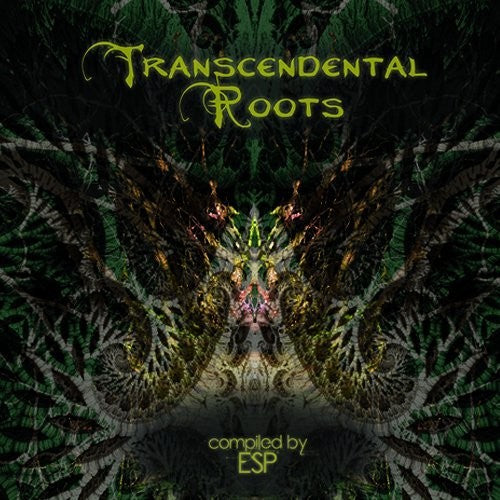Transcendental Roots / Various: Transcendental Roots / Various