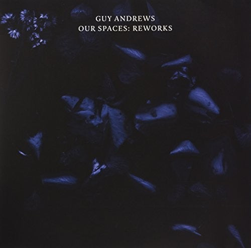 Andrews, Guy: Our Spaces: Reworks