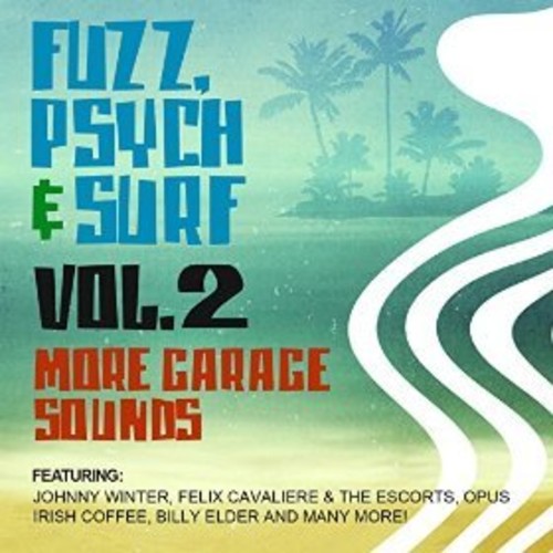 Fuzz Psych & Surf 2: More Garage Sounds / Var: Fuzz, Psych & Surf, Vol. 2 - More Garage Sounds