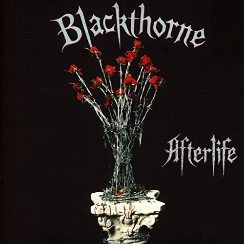 Blackthorne: Afterlife: Expanded Edition