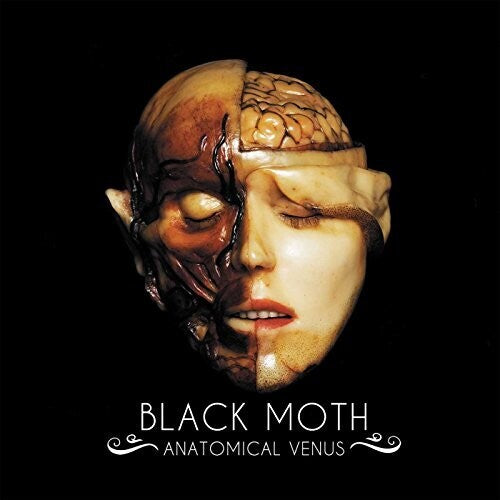 Black Moth: Anatomical Venus