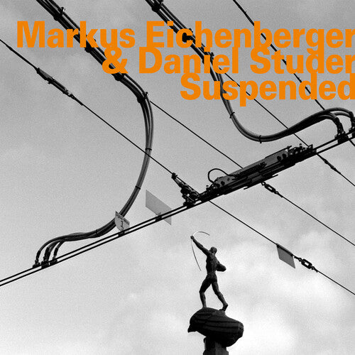 Eichenberger, Markus: Suspended