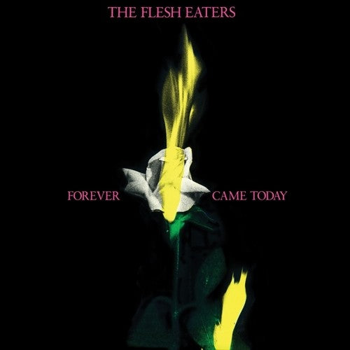 Flesh Eaters: Forever Came Today