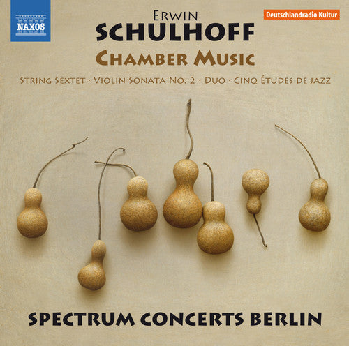 Schulhoff / Brovtsyn / Sokolov: Erwin Schulhoff: Chamber Music