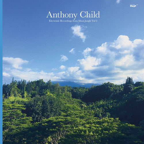 Child, Anthony: Electronic Recordings From Maui Jungle 2