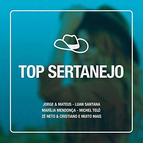 Top Sertanejo / Various: Top Sertanejo / Various