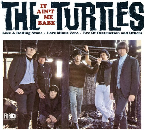 Turtles: It Ain't Me Babe