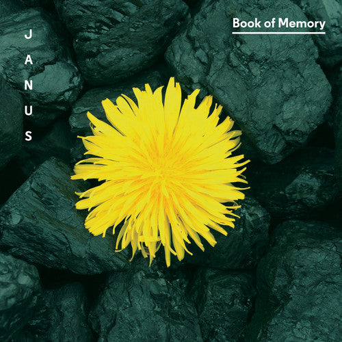 Lansky / Treuting / Janus / Wadden / Meyers: Book of Memory