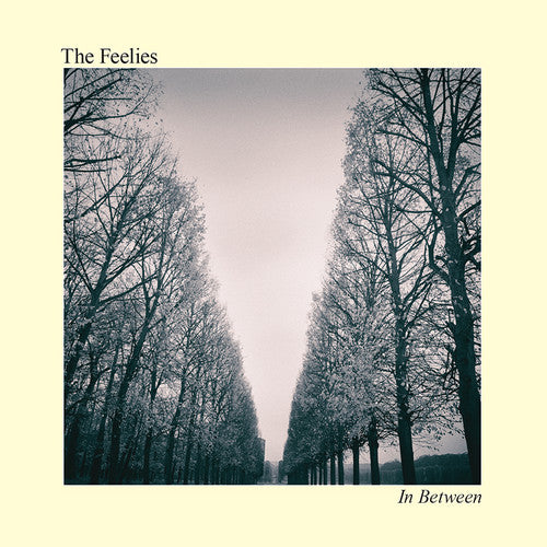 Feelies: In Between