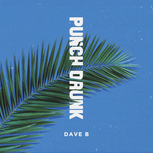 Dave B: Punch Drunk