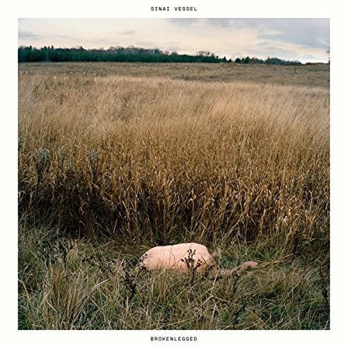 Sinai Vessel: Brokenlegged