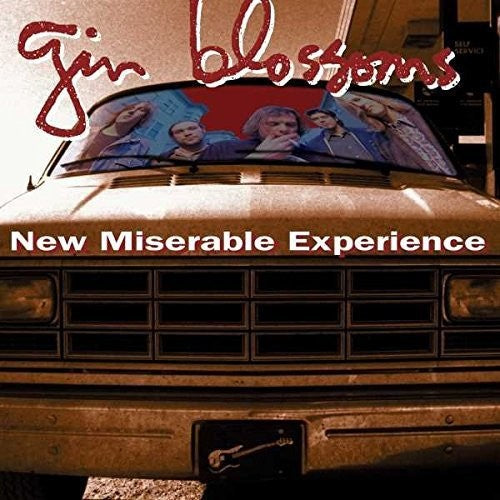 Gin Blossoms: New Miserable Experience