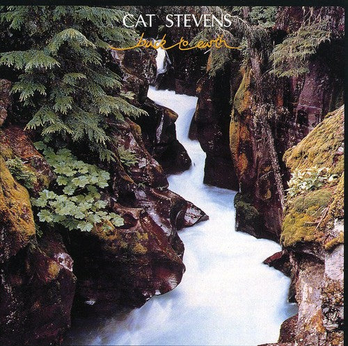 Stevens, Cat: Back to Earth