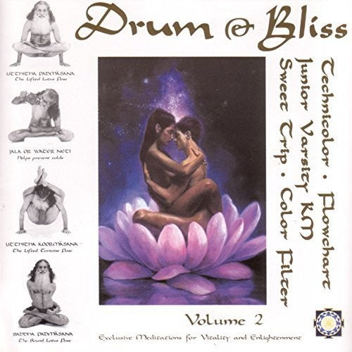 Drum & Bliss 2 / Various: Drum & Bliss 2 (Various Artists)