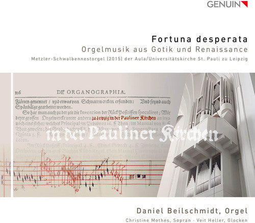 Beilschmidt / Heller / Mothes: Fortuna Desperata - Gothic & Renaissance Organ