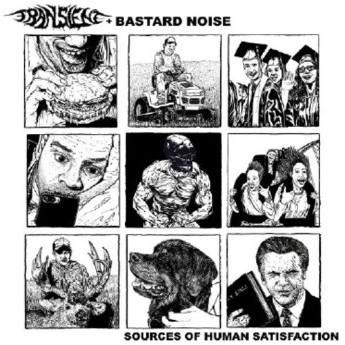Transient with Bastard Noise: Sources Of Human Satisfaction