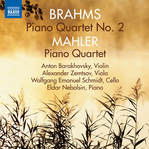Brahms / Mahler / Barakhovsky: Piano Quartets