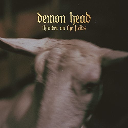 Demon Head: Thunder On The Fields