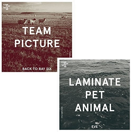 Team Picture / Laminate Pet Animal: Back To Bay Six / Eve