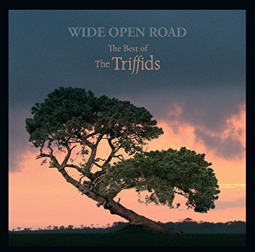 Triffids: Wide Open Road: Best Of The Triffids