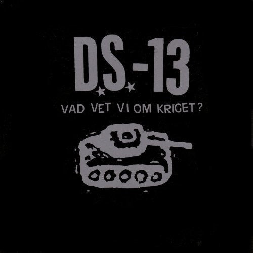 Ds-13: Vad Vet Vi Om Kriget?