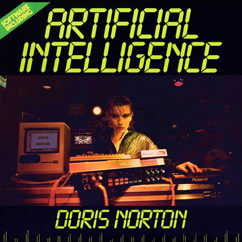 Norton, Doris: Artificial Intelligence