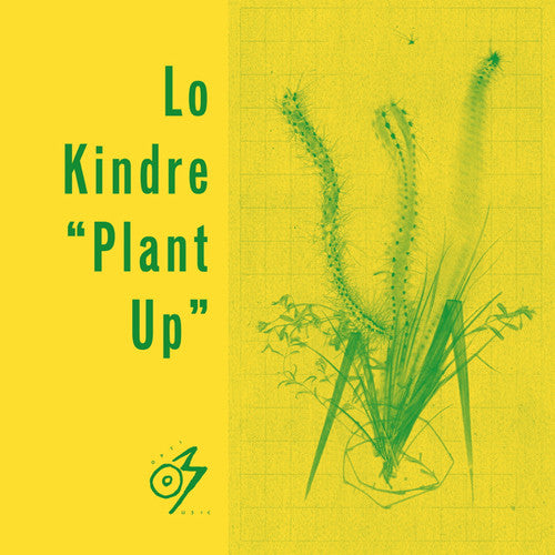 Lo Kindre: Plant Up