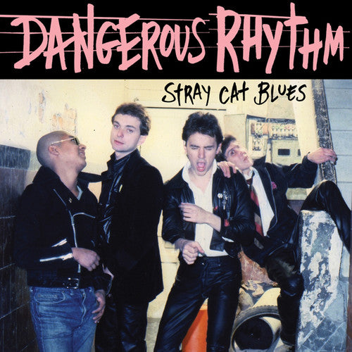 Dangerous Rhythm: Stray Cat Blues