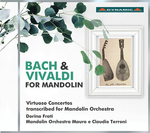 Bach, J.S. / Vivaldi / Frati / Tenchini: Bach & Vivaldi for Mandolin