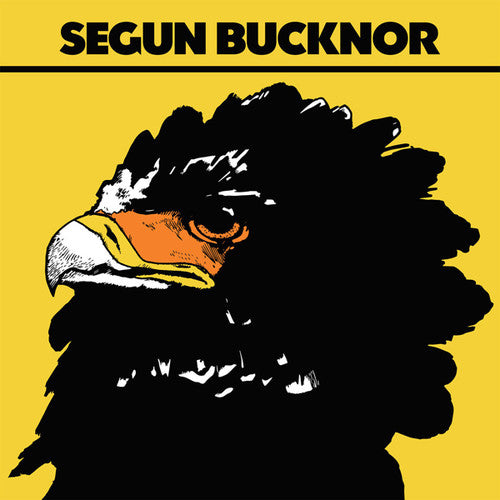 Bucknor, Segun: Segun Bucknor