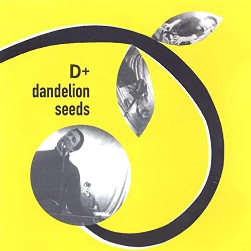 D+: DANDELION SEEDS