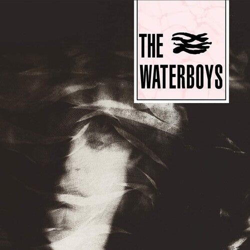 Waterboys: Waterboys