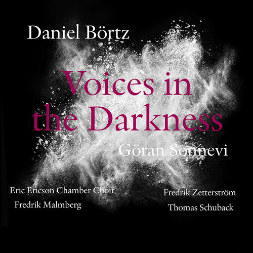 Bortz / Sonnevi / Malmberg / Zetterstrom: Daniel Bortz: Voices in the Darkness