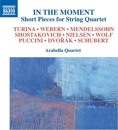 Schubert / Dvorak / Shostakovich: In the Moment Short Pieces for String Quartet