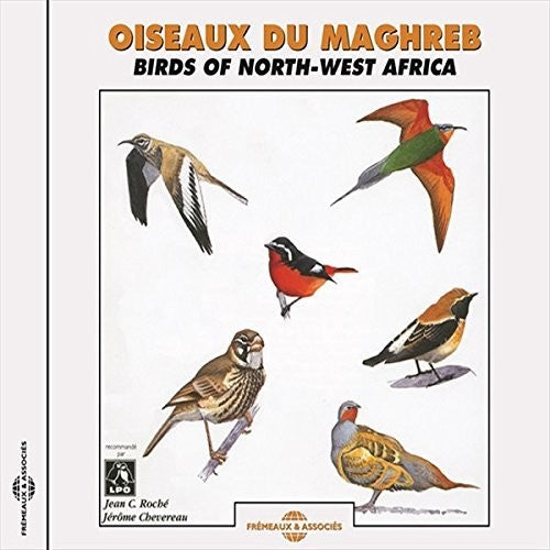 Roche, Jean Claude / Chevereau, Jerome: Birds of Northwest Africa