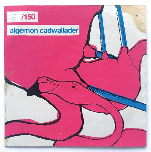 Algernon Cadwallader: Algernon Cadwallader