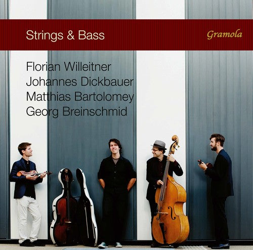 Breinschmid / Willeitner / Bartolomey: Strings & Bass