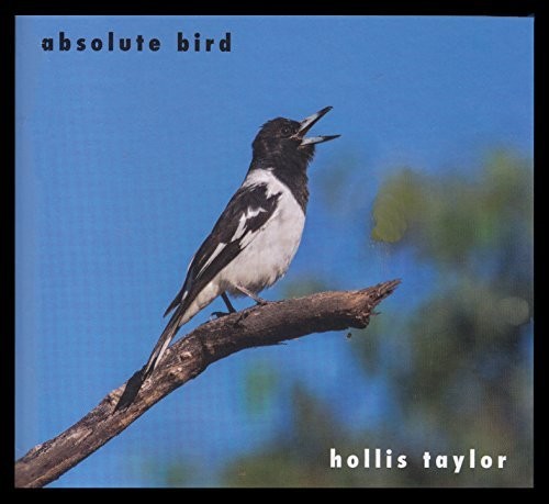 Taylor, Hollis: Absolute Bird