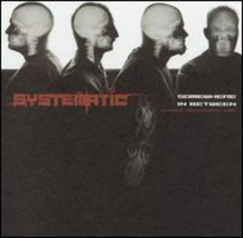 Systematic: Somewhere in Between