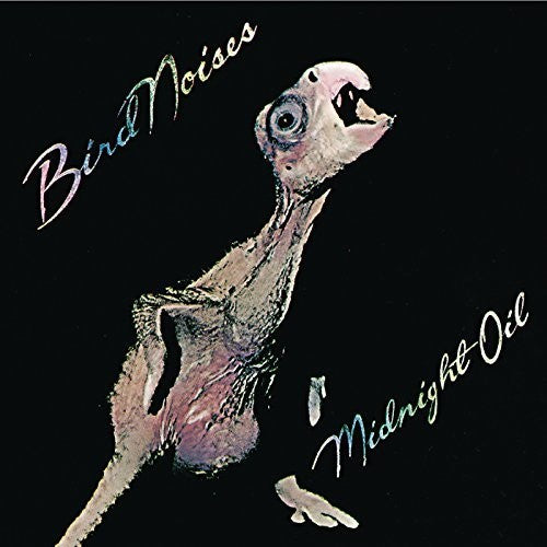 Midnight Oil: Bird Noises