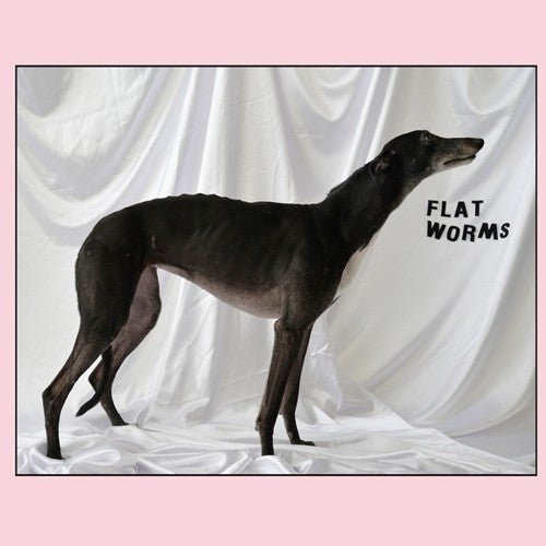 Flat Worms: Flat Worms