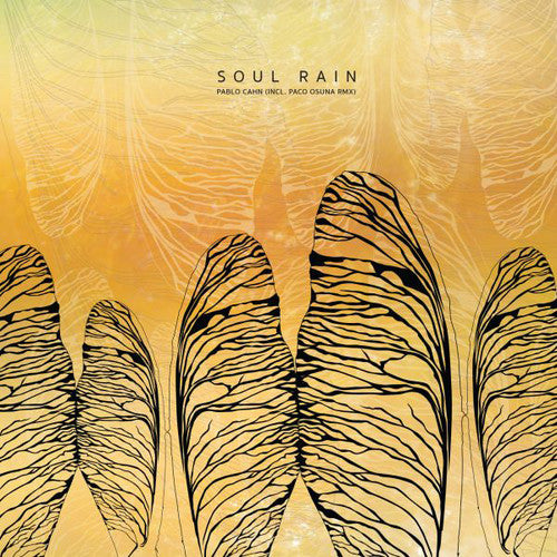 Cahn, Pablo: Soul Rain