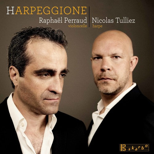 Bloch / Tulliez / Perraud: Harpeggione