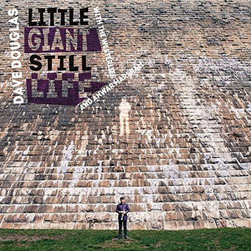 Douglas, Dave & Westerlies: Little Giant Still Life