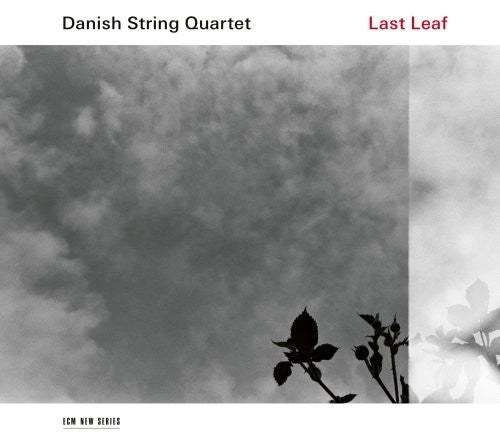 Danish String Quartet: Last Leaf