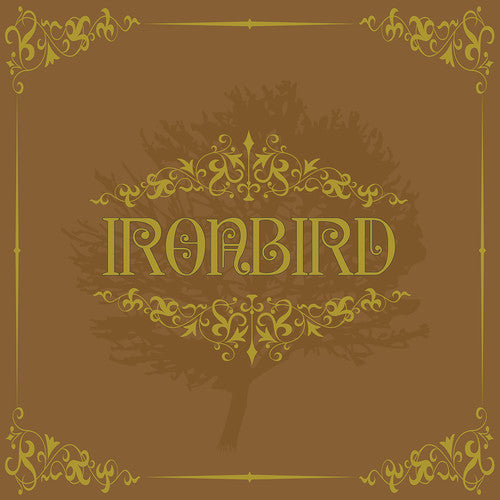 Ironbird: Ironbird