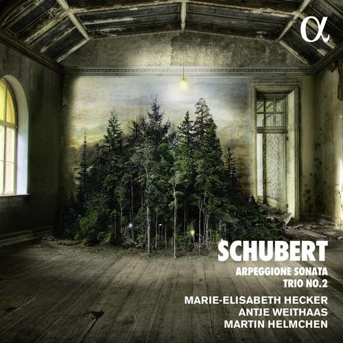 Schubert / Helmchen / Weithaas: Piano Trio in E Flat & Arpeggione Sonata a Minor