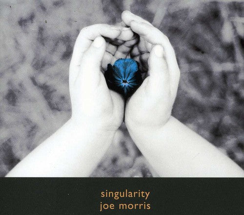 Morris, Joe: Singularity